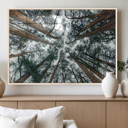 18790-MGV-FP-36X24-3P_Natural-Pine Canopy Wall Art – Panoramic View of Towering Pines Canvas Print, Nature-Inspired Decor for Office, Cabin or Living Room