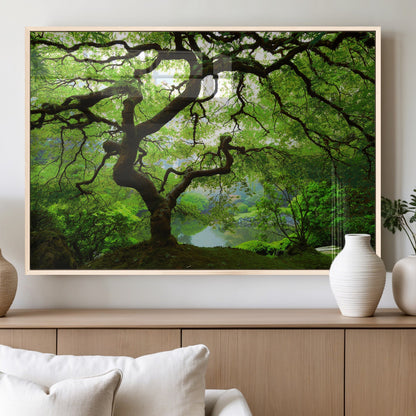 18094-MGV-FP-60X30-3P_Natural-Emerald Canopy Wall Art – Panoramic Lush Green Tree Canvas Print, Serene Nature Decor for Office, Living Room or Meditation Space