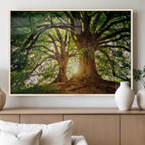 52150-MGV-FP-36X24-3P_Natural-Majestic Tree Wall Art – Large Nature Canvas Print with Sunlight Through Branches, Rustic Forest Decor for Living Room, Bedroom or