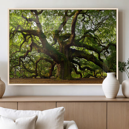 29407-MGV-FP-60X30-3P_Natural-Ancient Oak Tree Wall Art – Majestic Nature Canvas Print, Large Tree Photography Decor for Living Room