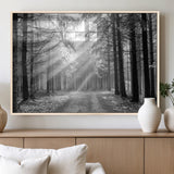 39665-MGV-FP-36X24-3P_Natural-Black and White Forest Path Wall Art – Sunlight Rays in Trees Canvas Print, Nature Landscape Decor for Living Room or Office