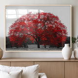 80021-MGV-FP-60X30-3P_Natural-Red Tree Wall Art – Striking Black and White Landscape Canvas Print with Vibrant Red Leaves, Modern Nature Decor for Living Room