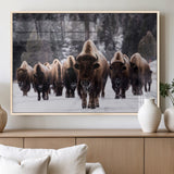 66871-MGV-FP-36X24-3P_Natural-Bison Herd Wall Art – Wildlife Buffalo Canvas Print, Rustic Western Nature Photography Decor for Living Room, Office, Cabin, or