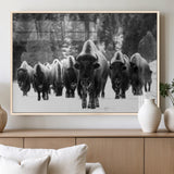 62434-MGV-FP-36X24-3P_Natural-Bison Herd Wall Art – Majestic Black and White Buffalo Canvas Print, Wildlife Nature Photography Decor for Living Room, Office or