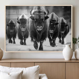 79872-MGV-FP-36X24-3P_Natural-Bison Herd Wall Art – Black and White Buffalo on Snow Canvas Print, Rustic Wildlife Decor for Lodge, Cabin, or Living Room