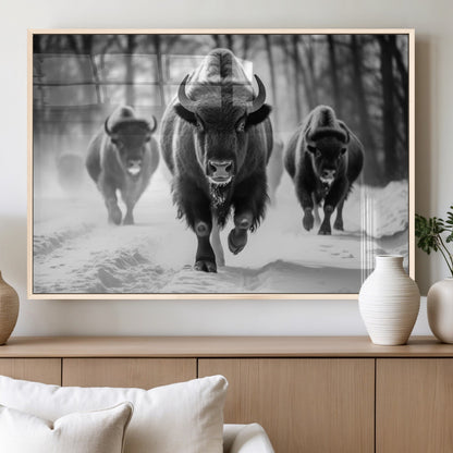 97552-MGV-FP-36X24-3P_Natural-Black and White Bison Wall Art – Buffalo Herd Running in Snow Canvas Print, Rustic Wildlife Photography Decor for Cabin, Lodge, or
