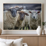 18418-MGV-FP-60X30-3P_Natural-Sheep Wall Art Canvas Print, Framed Farmhouse Sheep Art Picture Print, Sheep Herd Perfect Rustic Farmhouse Decor Artwork