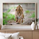 75066-MGV-FP-60X30-3P_Natural-Leopard Wall Art Canvas Print, Framed Wild Animal Art Picture Print, Blue Eye Leopard Perfect Wild Minimal Decor Artwork