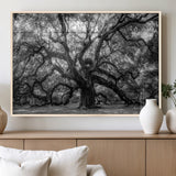 132944706-MGV-FP-36X24-3P_Natural-Ancient Tree Wall Art – Black and White Photography Canvas Print Featuring Majestic Twisting Branches, Rustic Nature Artwork for