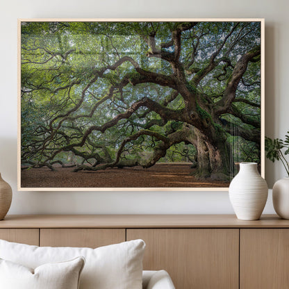 MGV-FP-36X24-3P - Historic Tree Wall Art Canvas Print, Framed Mossy Tree Art Picture Print, Twisted Branches Perfect Nature Southern Decor Artwork