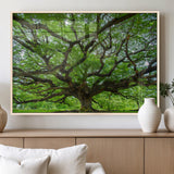 49375306-MGV-FP-36X24-3P_Natural-Ancient Tree Wall Art Canvas Print, Framed Sprawling Branches Art Picture Print, Gnarling Tree Perfect Earthy Natural Decor