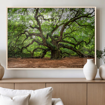 51255351-MGV-FP-36X24-3P_Natural-Ancient Tree Wall Art – Majestic Oak Canvas Print, Large Nature Photography, Sacred Forest Landscape Wall Décor, Wisdom Tree