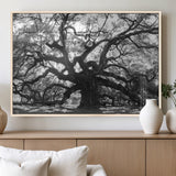 81655611-MGV-FP-36X24-3P_Natural-Ancient Oak Wall Art Canvas Print, Framed Twisted Branches Art Picture Print, Gnarled Tree Perfect Moody Nature Decor Artwork
