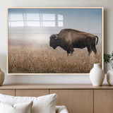 99620201-MGV-FP-60X30-3P_Natural-Wild Bison Wall Art Canvas Print, Framed Bison in Prairie Art Picture Print, Rustic Western Perfect Rustic Western Decor Artwork