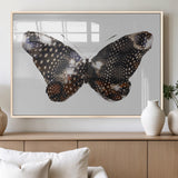 99831147-MGV-FP-36X24-3P_Natural-Spotted Butterfly Wall Art Canvas Print, Framed Neutral Insect Theme Art Picture Print, Earthy Wing Pattern Perfect Modern Rustic