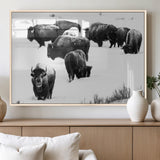 18914414-MGV-FP-36X24-3P_Natural-Buffalo Herd Wall Art Canvas Print, Framed Black and White Art Picture Print, Snowy Landscape Perfect Rustic Lodge Decor Decor