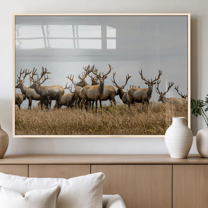 42170220-MGV-FP-36X24-3P_Natural-Elk Herd Wall Art Canvas Print, Framed Wildlife Photography Art Picture Print, Majestic Antlers Perfect Rustic Wildlife Decor