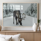 13316292-MGV-FP-36X24-3P_Natural-Moose in Snow Wall Art Canvas Print, Framed Winter Wildlife Art Picture Print, Snowy Forest Scene Perfect Rustic Lodge Decor