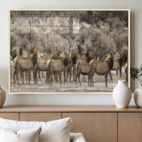 93076148-MGV-FP-36X24-3P_Natural-Elk Herd Wall Art – Wildlife Canvas Print of Elk in Winter Landscape, Rustic Western Cabin & Lodge Décor, Nature Photography for