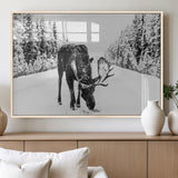 38956835-MGV-FP-60X30-3P_Natural-Moose Winter Snowy Forest Canvas Wall Art – Wildlife Nature, Antlers in Frozen Landscape, Quiet Path, Cold Season Outdoors Print