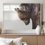 14405507-MGV-FP-36X24-3P_Natural-Bear Wall Art – Wildlife Canvas Print with Rustic Animal Portrait and Minimalist Background, Nature Inspired Photography for