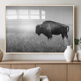 90861202-MGV-FP-36X24-3P_Natural-Black and White Bison Canvas Wall Art – Rustic American Buffalo Print, Western Wildlife Photography for Farmhouse, Cabin, Office