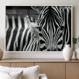 43631-MGV-FP-60X30-3P_Natural-Zebra Wall Art – Black & White Safari Wildlife Canvas Print, Modern Animal Photography Decor for Living Room, Office, or Bedroom