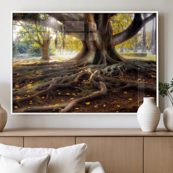 53335-MGV-FP-36X24-3P_White-Majestic Tree with Sprawling Roots Wall Art – Serene Sunlit Park Scene, Nature Canvas Print, Perfect for Living Room, Office or