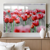 44554-MGV-FP-36X24-3P_White-Vibrant red tulips stand out beautifully against a black-and-white background, making a striking decor piece perfect for any home