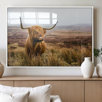 79391-MGV-FP-36X24-3P_White-Majestic Highland Cow in Misty Scottish Moorland – Rustic Natural Charm, Perfect for Unique Home or Office Decor