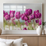30632-MGV-FP-36X24-3P_White-Purple Tulip Field Wall Art – Beautiful Spring Flowers Canvas Print with Soft Focus and Bright Sky, Ideal Floral Decor for Home or