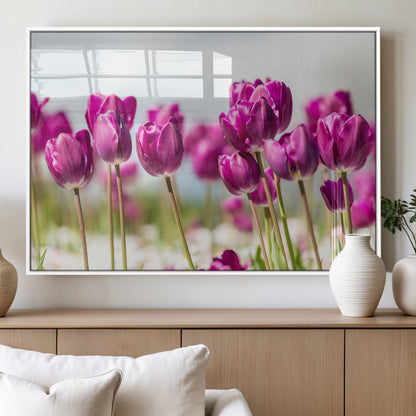 30632-MGV-FP-36X24-3P_White-Purple Tulip Field Wall Art – Beautiful Spring Flowers Canvas Print with Soft Focus and Bright Sky, Ideal Floral Decor for Home or