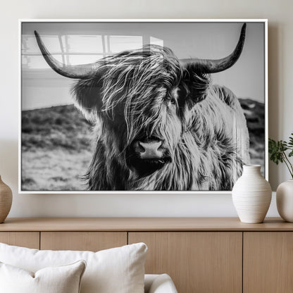 36979-MGV-FP-36X24-3P_White-Striking black-and-white portrait of a Highland cow with flowing fur and majestic horns, perfect for rustic and elegant home or