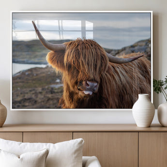 71222-MGV-FP-36X24-3P_White-A playful Highland cow with shaggy fur sticks out its tongue, set against a rugged landscape — perfect for quirky home or office
