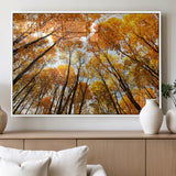 11823-MGV-FP-36X24-3P_White-Golden Autumn Tree Canopy Wall Art – Stunning Fall Forest Leaves Print, Warm Seasonal Nature Decor for Home, Office or Cabin