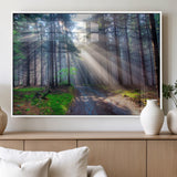 42047-MGV-FP-36X24-3P_White-Sunlit Forest Path Wall Art – Nature Canvas Print, Serene Woodland Landscape, Perfect Home & Office Decor for Calm and Tranquil