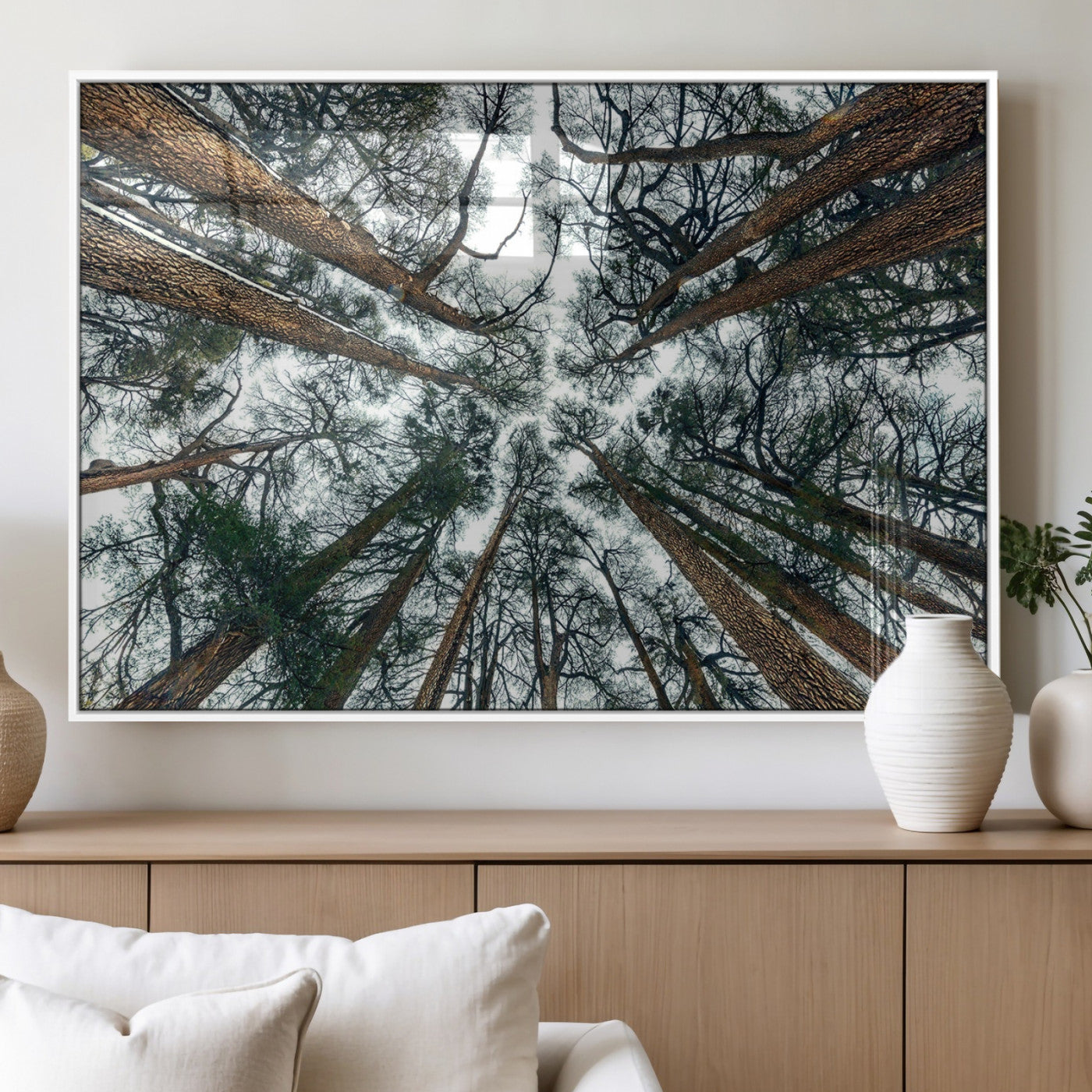 18790-MGV-FP-36X24-3P_White-Pine Canopy Wall Art – Panoramic View of Towering Pines Canvas Print, Nature-Inspired Decor for Office, Cabin or Living Room