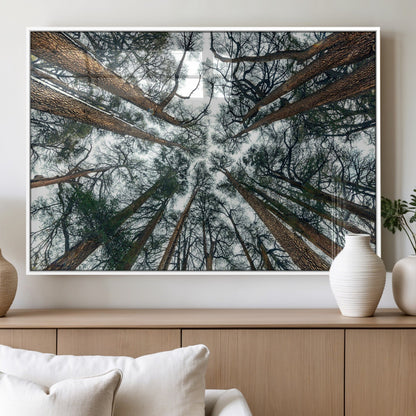 18790-MGV-FP-36X24-3P_White-Pine Canopy Wall Art – Panoramic View of Towering Pines Canvas Print, Nature-Inspired Decor for Office, Cabin or Living Room