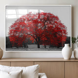 80021-MGV-FP-60X30-3P_White-Red Tree Wall Art – Striking Black and White Landscape Canvas Print with Vibrant Red Leaves, Modern Nature Decor for Living Room