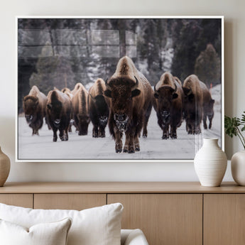 66871-MGV-FP-60X30-3P_White-Bison Herd Wall Art – Wildlife Buffalo Canvas Print, Rustic Western Nature Photography Decor for Living Room, Office, Cabin, or