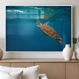 91440-MGV-FP-60X30-3P_White-Sea Turtle Wall Art – Ocean Turtle Canvas Print, Underwater Marine Life Decor for Living Room, Office, Beach House or Bathroom