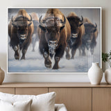 80512-MGV-FP-36X24-3P_White-Bison Herd Wall Art – Buffalo Running in Snow Canvas Print, Rustic Wildlife Photography Decor for Cabin, Lodge, or Living Room