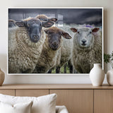 18418-MGV-FP-60X30-3P_White-Sheep Wall Art Canvas Print, Framed Farmhouse Sheep Art Picture Print, Sheep Herd Perfect Rustic Farmhouse Decor Artwork