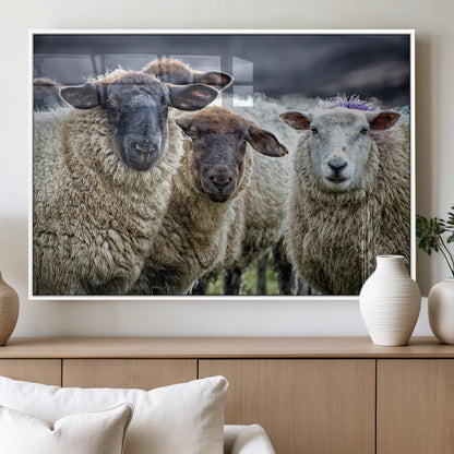 18418-MGV-FP-60X30-3P_White-Sheep Wall Art Canvas Print, Framed Farmhouse Sheep Art Picture Print, Sheep Herd Perfect Rustic Farmhouse Decor Artwork