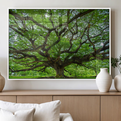 49375306-MGV-FP-36X24-3P_White-Ancient Tree Wall Art Canvas Print, Framed Sprawling Branches Art Picture Print, Gnarling Tree Perfect Earthy Natural Decor