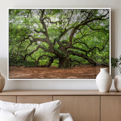 51255351-MGV-FP-36X24-3P_White-Ancient Tree Wall Art – Majestic Oak Canvas Print, Large Nature Photography, Sacred Forest Landscape Wall Décor, Wisdom Tree