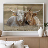 53388593-MGV-FP-60X30-3P_White-Cow Photography Wall Art Canvas Print, Framed Rustic Animal Decor Art Picture Print, Texas Cow Pair Perfect Western Farmhouse