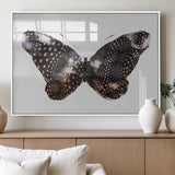 99831147-MGV-FP-36X24-3P_White-Spotted Butterfly Wall Art Canvas Print, Framed Neutral Insect Theme Art Picture Print, Earthy Wing Pattern Perfect Modern Rustic