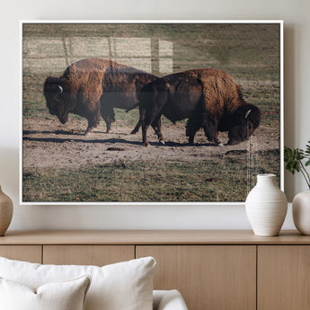 58141885-MGV-FP-36X24-3P_White-Bison Photography Wall Art Canvas Print, Framed Western Wildlife Art Picture Print, Modern Ranch Perfect Western Rustic Decor