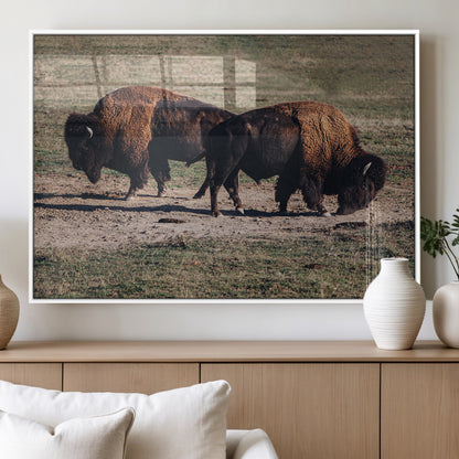 58141885-MGV-FP-36X24-3P_White-Bison Photography Wall Art Canvas Print, Framed Western Wildlife Art Picture Print, Modern Ranch Perfect Western Rustic Decor